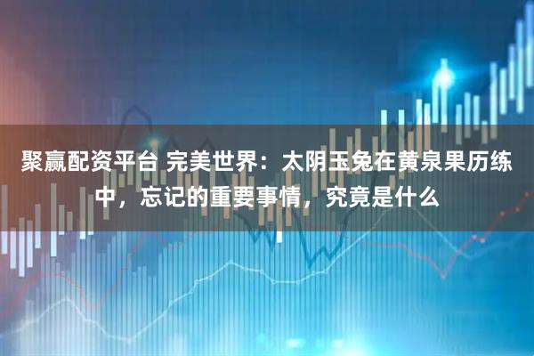 聚赢配资平台 完美世界：太阴玉兔在黄泉果历练中，忘记的重要事情，究竟是什么
