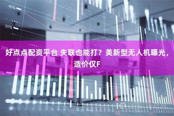 好点点配资平台 失联也能打？美新型无人机曝光，造价仅F
